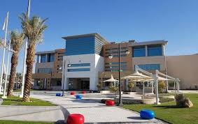 
	Prince Sultan University Scholarship in Saudi Arabia

