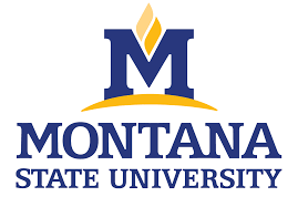 
	Montana State University Fully Funded Scholarship in USA 2025
