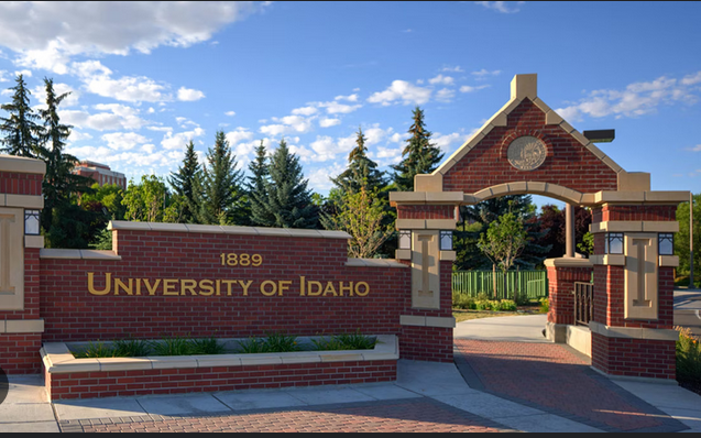
	 2025 University of Idaho Fully Funded Scholarship in USA
