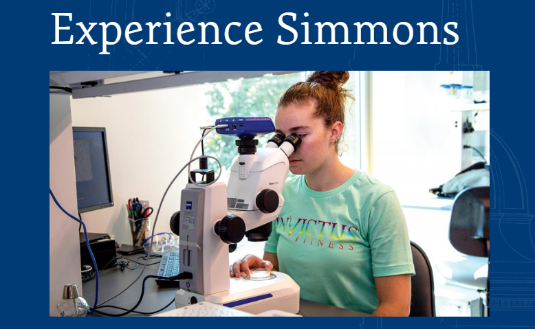 
	Simmons Distinguished Scholar Award in United States
