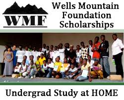 WELLS MOUNTAINFOUNDATION 2013 SCHOLARSHIP APPLICATION