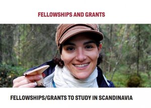 American-Scandinavian Study in Scandinavia Fellowship up to $23,000