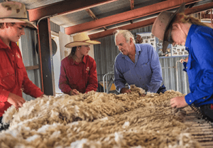 Australia Wool Innovation (AWI) Scholarships 2018